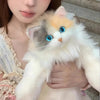 Cute Cat Bag pack Fluffy Kittty Bag